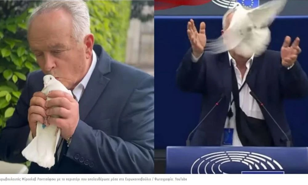 Σοκ στο Ευρωκοινοβούλιο: Ευρωβουλευτής έβγαλε από την τσάντα του περιστέρι και το απελευθέρωσε (Βίντεο)